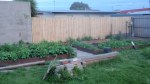 Our new terraced garden bed