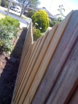 Our new fence