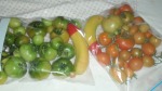 Ripening tomatoes experiment
